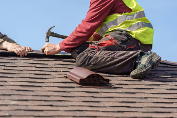 Best Metal Roofing Contractor  in Friars Point, MS